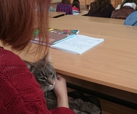 Kan tu vas à l'école