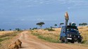 Pendant ce temps en Afrique...