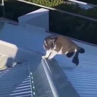 Une place au soleil ...