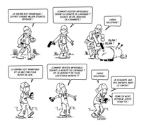 Si loin, si proche