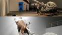 Sculpture WTF