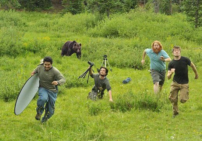 "On faisait un documentaire sur les ours et tout à coup, il y en a un qui est arrivé"