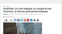 Un animal tue quelqu'un dans un pays étranger