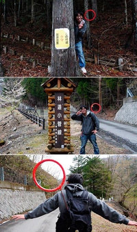 C'est quoi ce bordel ????