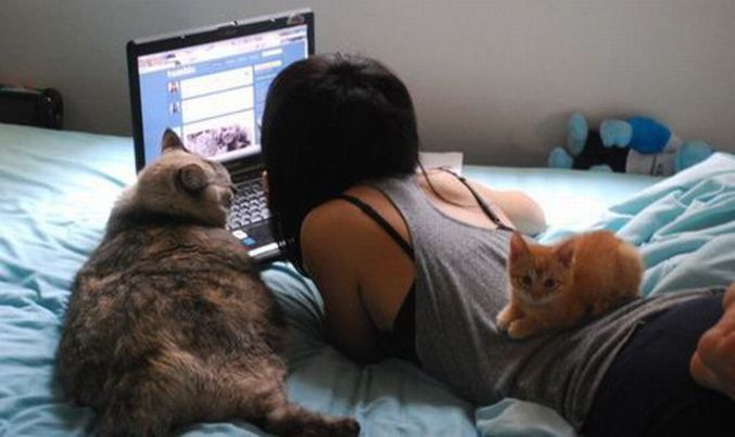 Un ordinateur, une fille... des chats !