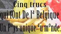 Cinq trucs qui font de la Belgique un pays unique au monde.