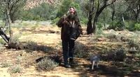 La chasse au kangourou