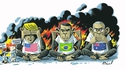 Fin de la COP25