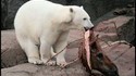Recyclage au zoo