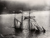 1902: éruption de la montagne pelée à la Martinique