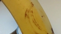 Bananaception