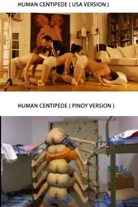 Millepatte