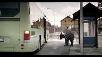 Animaux d'aveugles