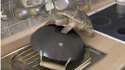 Tortue miraud