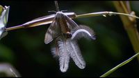 Un moment nature