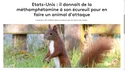 Un génie incompris