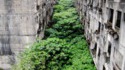 La nature reprend ses droits