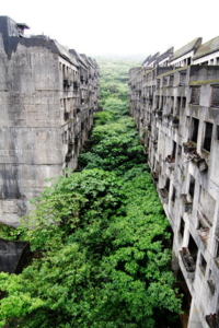 La nature reprend ses droits