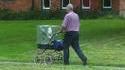 Promener son perroquet