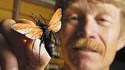 Schmitt, un anthomologiste qui teste l'intensité des piqures d'insectes