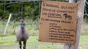 Ceci est un cheval