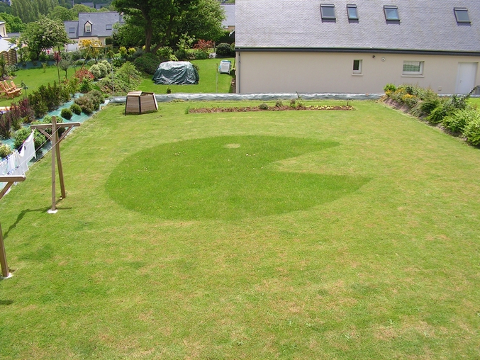 Une pelouse Pac Man.