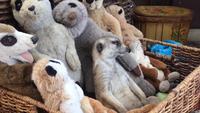 Dans la boîte à peluches
