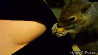 Mylo recueille un écureuil
