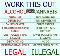 Alcool vs Cannabis