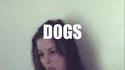 Who let the dogs out