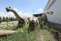 Cimetiere de dinosaure