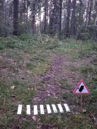 passage migratoire sécurisé