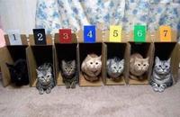 Faites vos jeux !