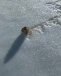 You shall not pass !