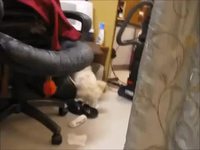 Il faut laisser aucun témoin