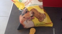 Biscuits pour chiens