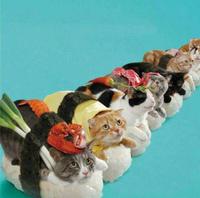 Quand la cuisine Japonaise et Chinoise se rencontrent