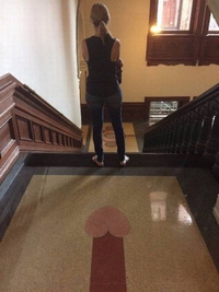 À la recherche des phallus perdus 246