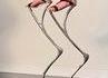 Talons