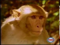Compilation de pub Esso 90's