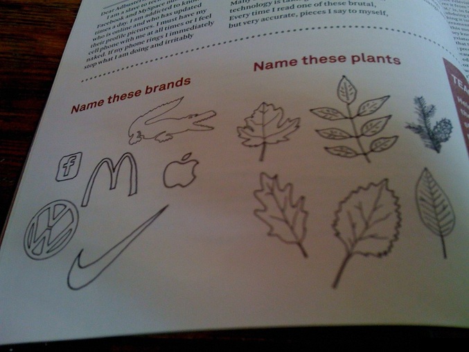 Citer le nom des marques, puis celui des arbres auxquels ces feuilles appartiennent.