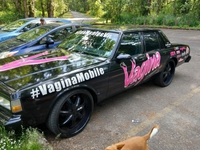 Vagina mobile