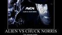 Alien vs Chuck Norris