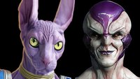 DBZ IRL 