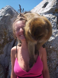 Phil fait des mammographies