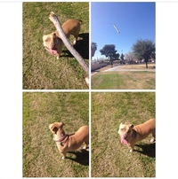 Va chercher toi même