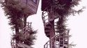 Cabanes dans les arbres