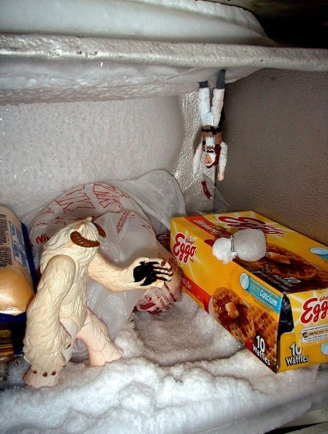 Reproduction d'une scène de l'Empire contre-attaque dans un freezer.