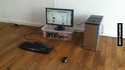 Nos amis les geeks