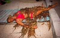 Ca sent le coquillage